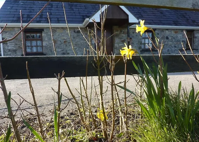 The Hill Cottage